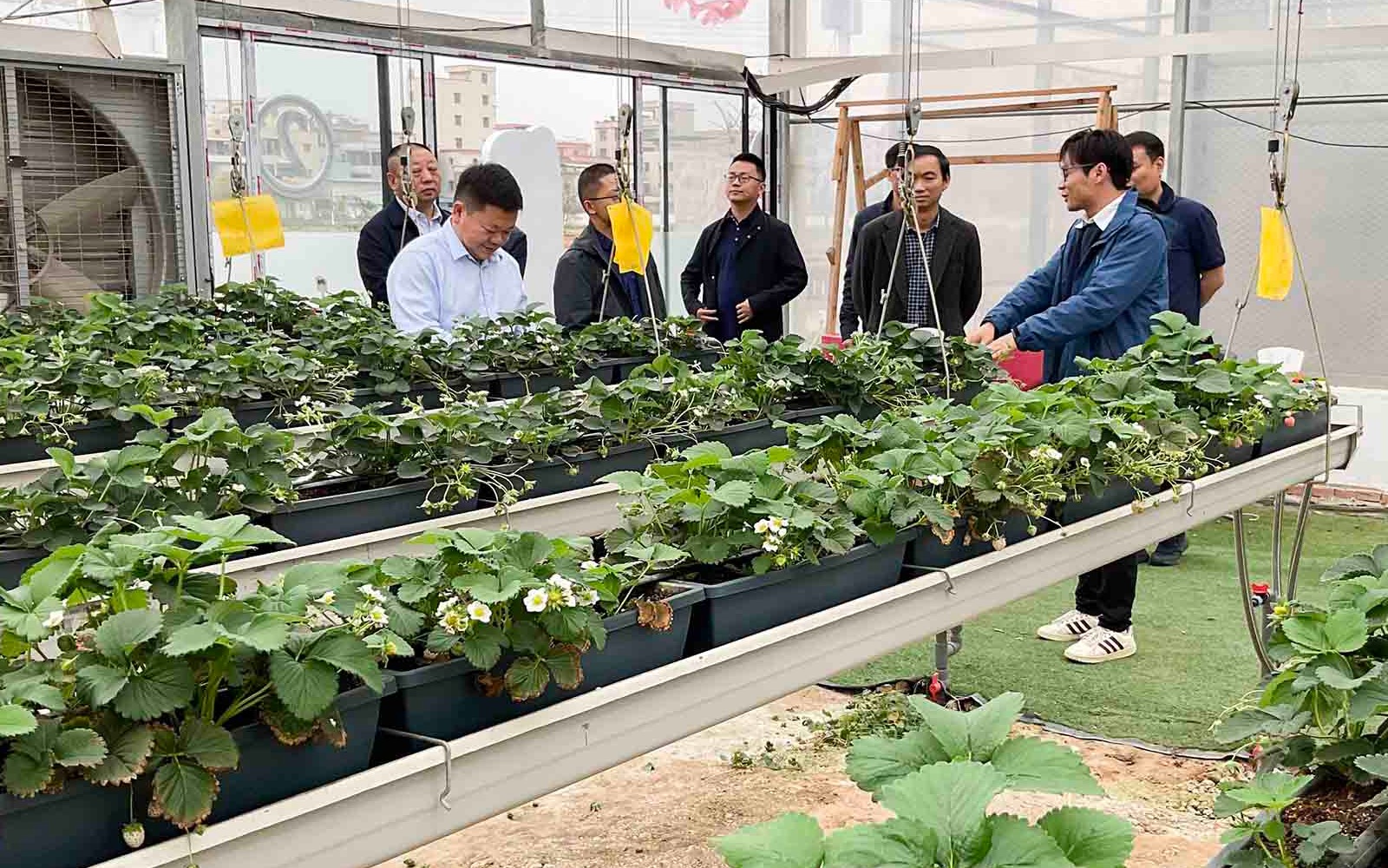 湖北省麻城市招商考察团队到访欧陆注册进行调研交流