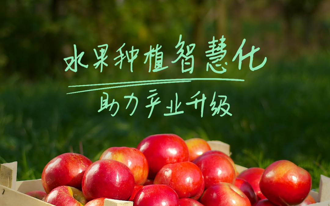 欧陆注册(中国区)官方网站科技发布智慧果园解决方案