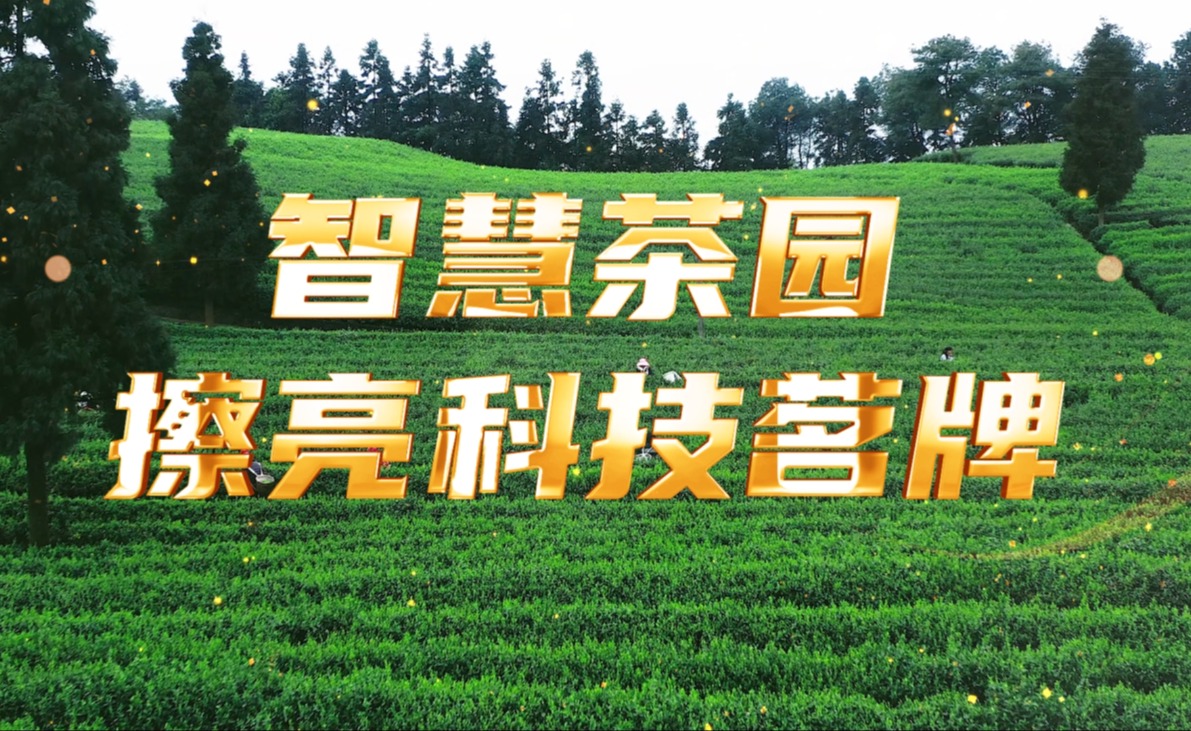智慧茶园，擦亮科技茗牌