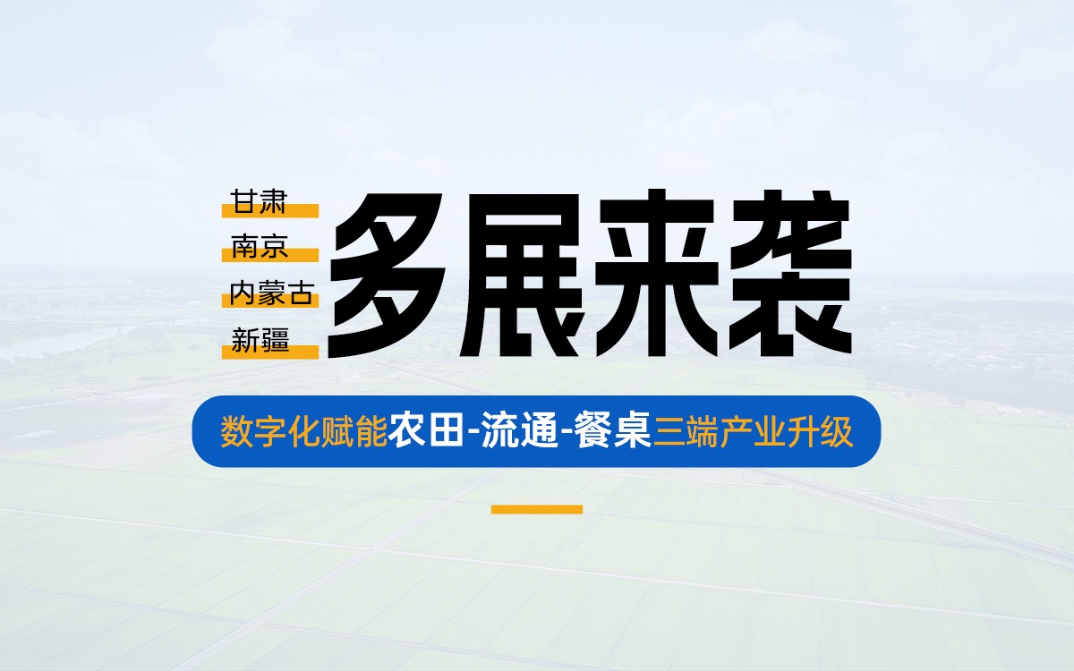 盛夏多展来袭，共探产业数字化新路径